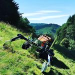 Daniel Dold - @dold_landschaftspflege - Instagram