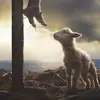 Daniel Domingo - @daniel.domingo33 - TikTok