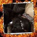 Daniel Donald - @daniel.donald.98096721 - Instagram