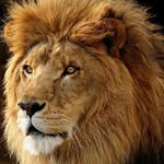 Daniel Dones - @bringdaruckus187 - Instagram