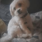 Daniel Donohue - @danieldonohue90 - Instagram