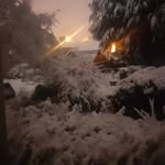 Daniel Donohue - @donohue6166 - Instagram