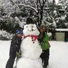 Daniel Donohue - @danieldonohue41 - TikTok
