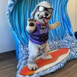 Daniel Donohue DDS - @tot2teenpediatricdentistry - Instagram