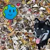 Daniel Doucet - @daniel.doucet4 - TikTok