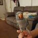 Daniel Dowden - Facebook