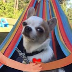 Dan Lee - @daniel_downstate - Instagram