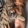 danielpdowner41291 - @danielpdowner41291 - TikTok