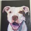 Daniel Downing - @danimalisticpaintings - TikTok