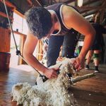 Daniel Dowsett - @danoz_98 - Instagram