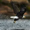 Daniel Dowty - @daniel.dowty - TikTok