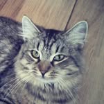 Daniel Drábek - @daniel_drabek - Instagram
