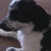 Daniel Drayton - Facebook