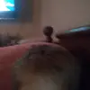 daniel - @danieldream2 - TikTok
