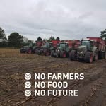 Daniel Dreeßen - @danieldreessen - Instagram