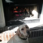 daniel dreisbach - @dreisbachdaniel - Instagram