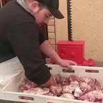 Daniel R. Batzbak Dreischarf - @danieldreischarf - Instagram