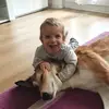 dresselmanndaniel - @dresselmanndaniel - TikTok