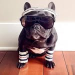 daniel_dreyfus - @daniel_dreyfus - Instagram