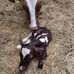 Daniel Dreyer - Facebook