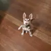 Daniel Ray Dreyer Jr - @daniel.dreyer0 - TikTok