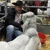Daniel Driver - @daniel.driver58 - TikTok