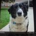 Daniel Drossart - Facebook