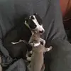 Danielle Drossart - @danielledrossart - TikTok