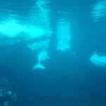 Daniel Drouet - @daniel.drouet.777 - Instagram