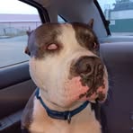 Daniel Dryer - Facebook