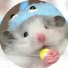 Daniel Duba - @daniel.duba2 - TikTok