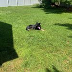 Daniel Dubinsky - @dubinsky_daniel - Instagram