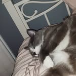 Danyall - @danielle.duchemin - Instagram