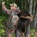 Daniel Duchesneau - Facebook