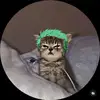 Daniel Duclos - @d.duclos719 - TikTok