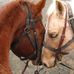 Dan Dugmore - Facebook