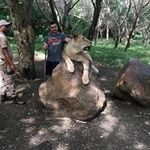 Daniel Dugmore - @dugmoredaniel - Instagram