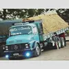 DANIEL244DUQUESNE - @danielduquenneandrade - TikTok