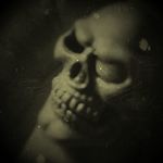 Daniel Dürbeck - @danieldurbeck - Instagram