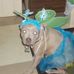 Daniel Durborow - Facebook