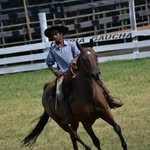 Daniel 🐎 - @daniel_dured_167 - Instagram
