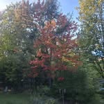 Daniel Durocher - @durocher8272 - Instagram