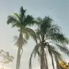 Danielle - @danielle.durocherr - TikTok