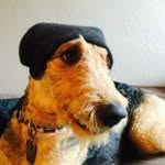 Danielglendurrett - @danieldurrettfunny13 - Instagram