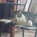 daniel dusa - @danield6758 - Instagram
