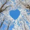 Daniel Dusa - @daniel.dusa - TikTok