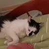 Danielle Duteil - @danielle.duteil - TikTok