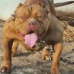 Daniel Darius Dutescu - @danieldariusdutescu - Instagram