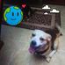 Danny Duty - Facebook