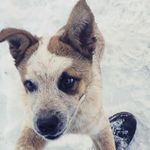 Daniel Dyck - @dyck216 - Instagram